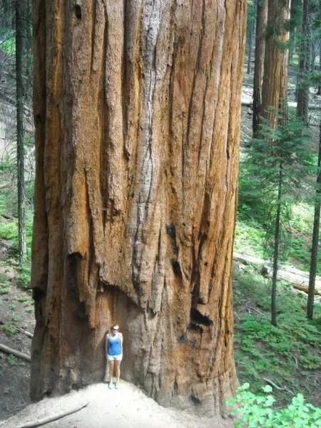 We feel dwarfs looking at these pictures - #16 
