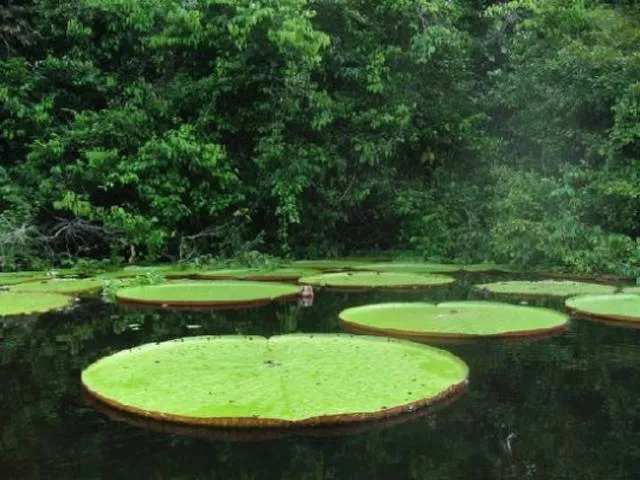 We feel dwarfs looking at these pictures - #18 