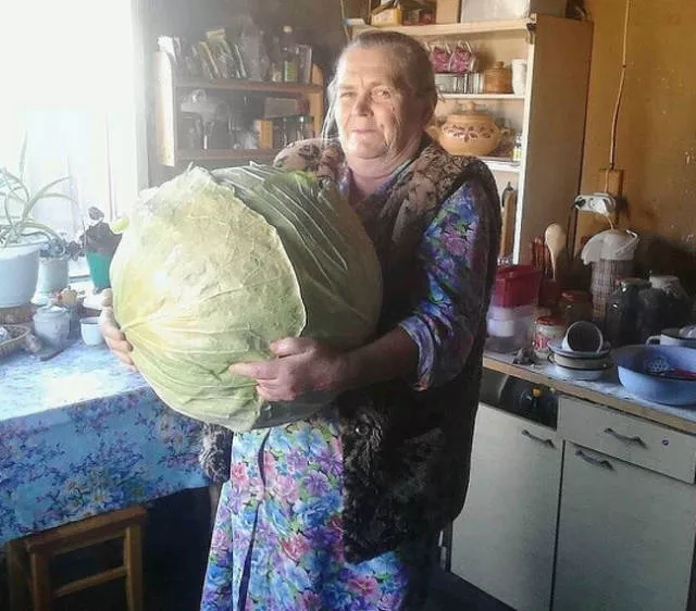On se sent des nains en regardant ces photos - #22 