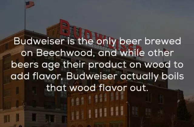 Some secrets of some global brands - #14 