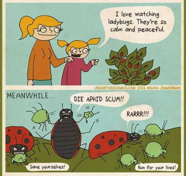Picdump 321 - #34 
