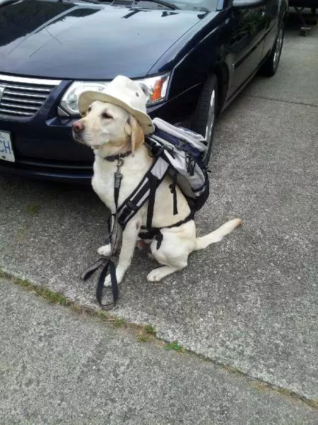 Picdump 60 - #24 