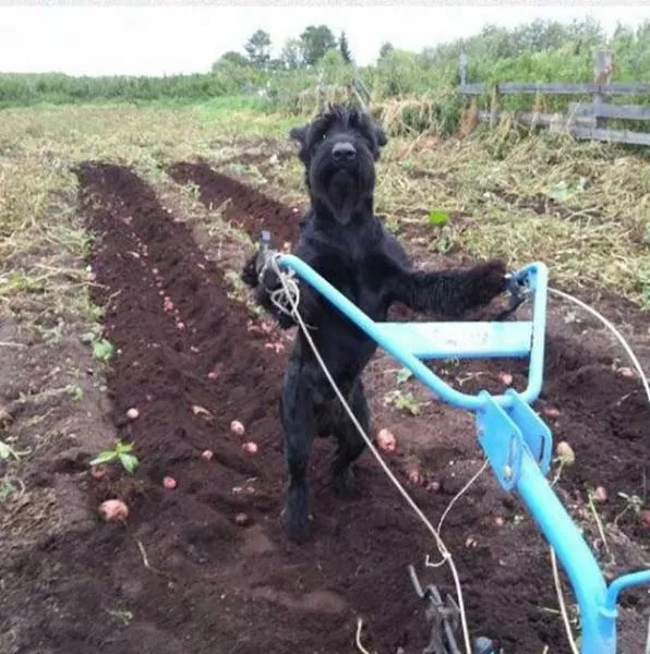 Picdump 60