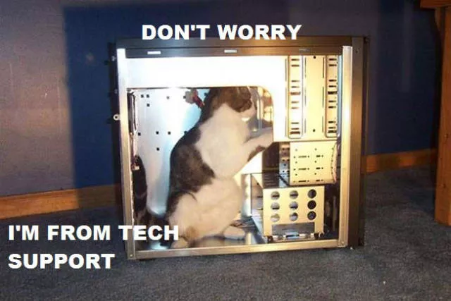 Picdump 60 - #36 