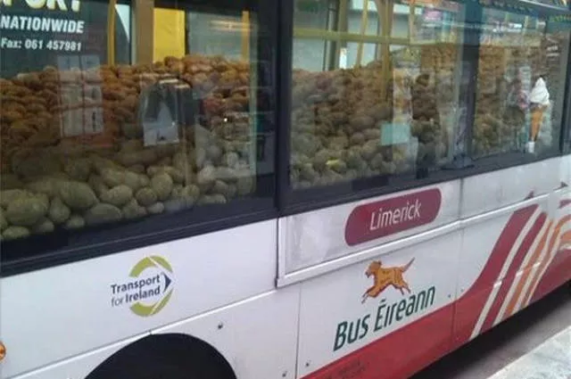 Picdump 60 - #37 
