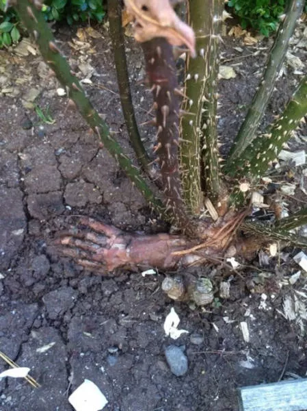 Picdump 60 - #6 