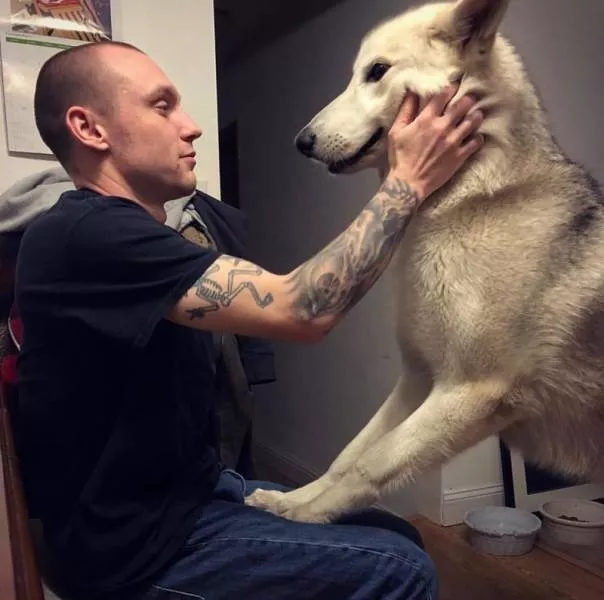 Chiens hybrides avec des loups beaute sauvage - #12 