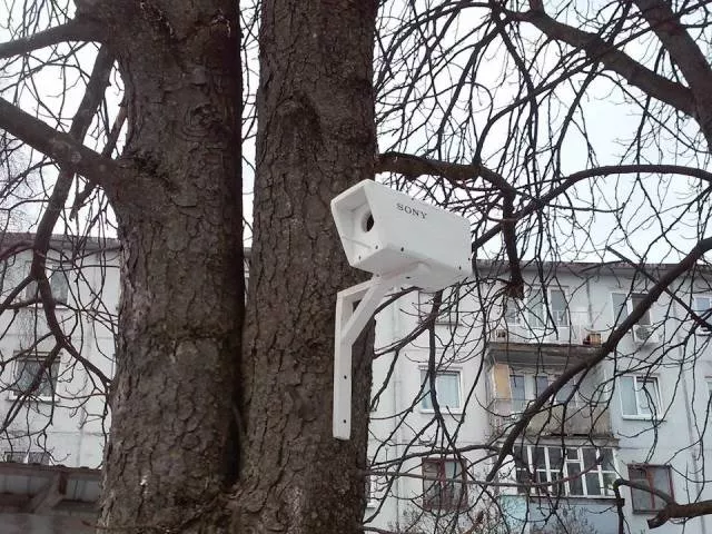 Picdump 322 - #28 