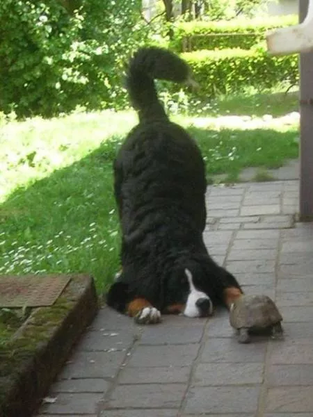 Picdump 322 - #45 
