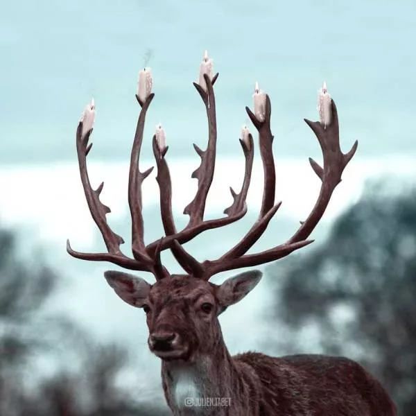 Unreal animals scene - #5 