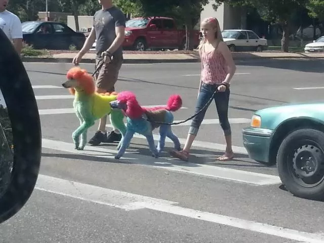 Picdump 323 - #11 