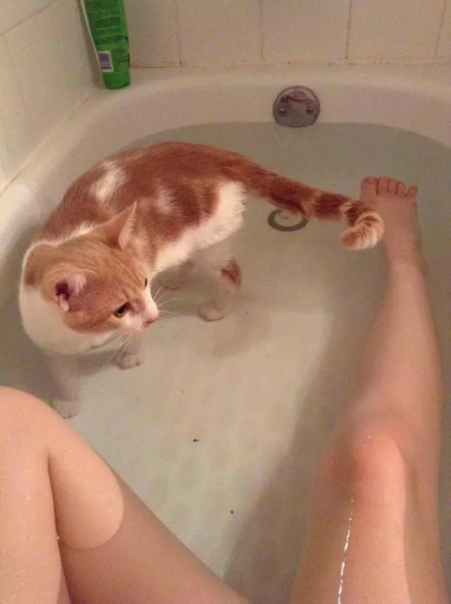 Picdump 323 - #17 