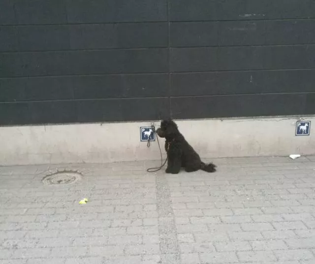 Picdump 323 - #20 