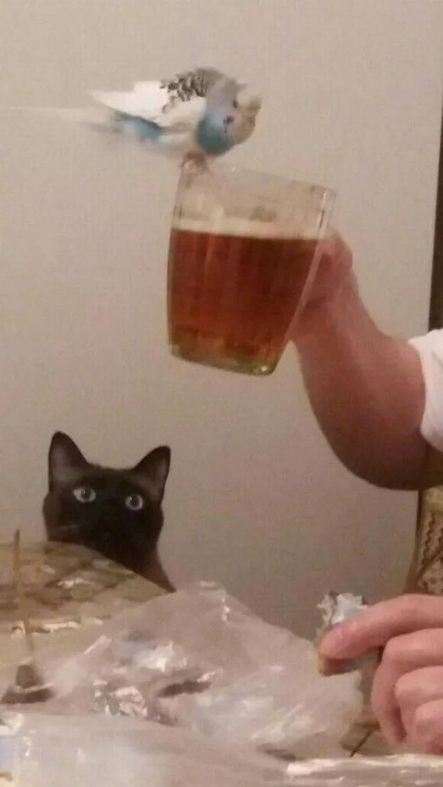 Picdump 323 - #27 