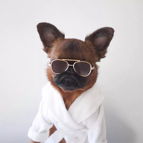Picdump 323 - #33 