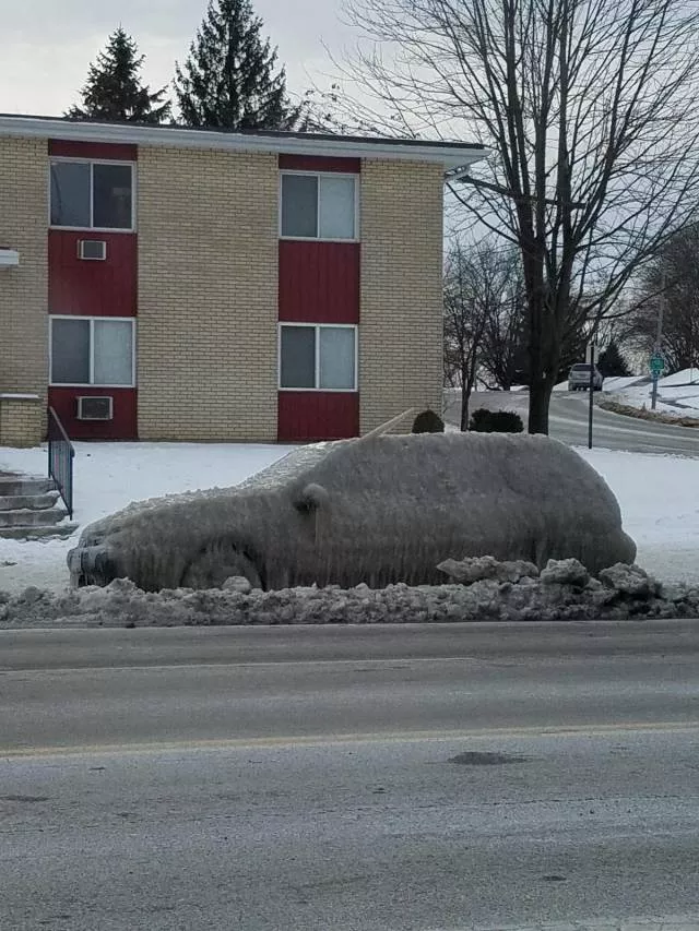 Picdump 323 - #37 