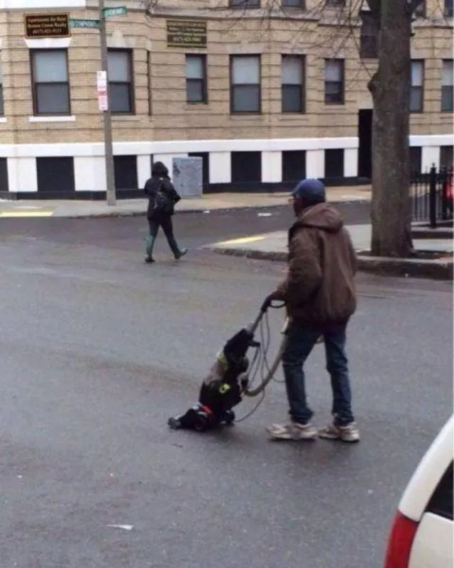Picdump 323 - #47 