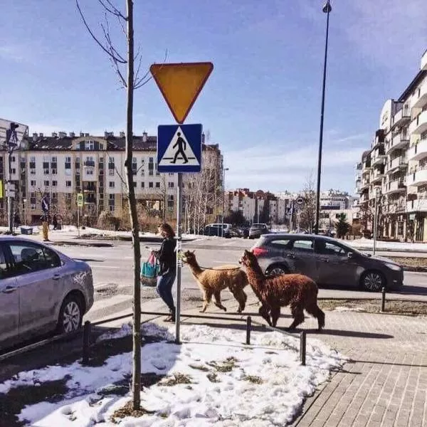 Picdump 323 - #6 