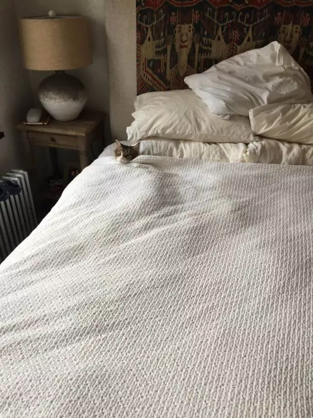 Picdump 323 - #82 