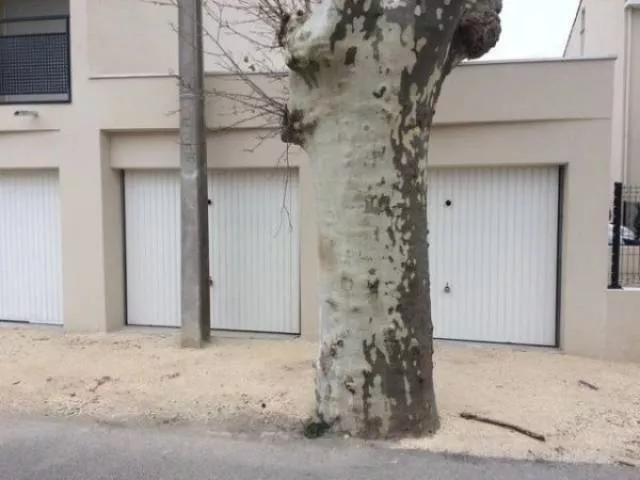 Construction fails - #20 