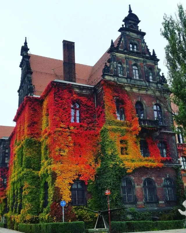 Picdump 324 - #1 