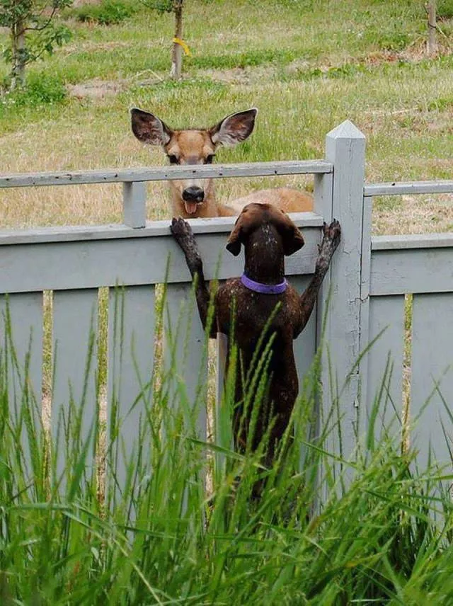 The most liked photos on the web - #18 