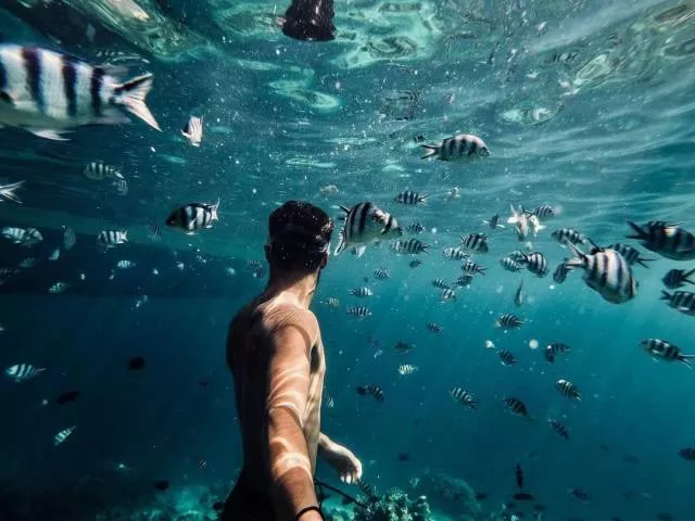 The most liked photos on the web - #2 