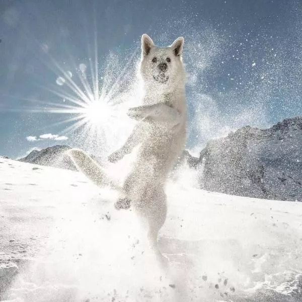 Les photos les plus populaires du web - #24 