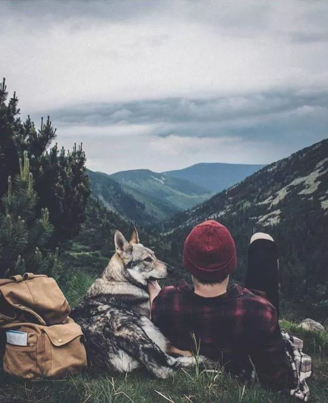 The most liked photos on the web - #27 