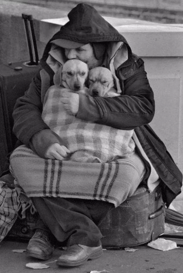 The most liked photos on the web - #36 