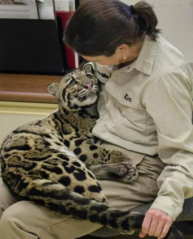 Les photos les plus populaires du web - #4 