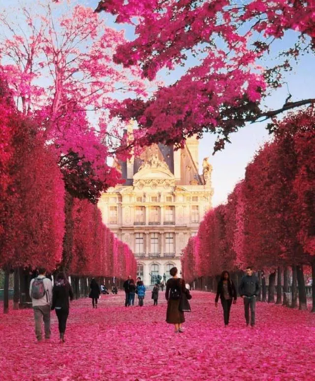 Les photos les plus populaires du web - #49 Les photos les plus populaires du web - #49