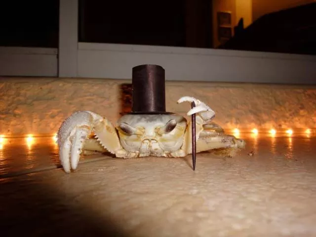 Picdump 61 - #15 