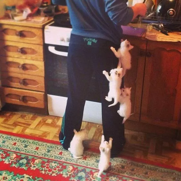 Picdump 61 - #21 