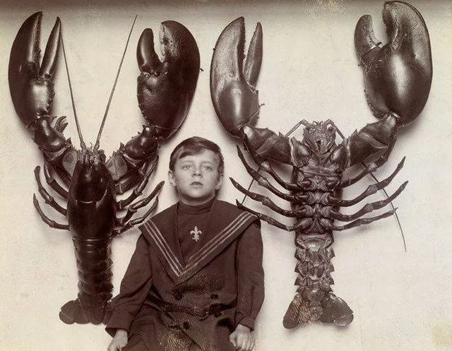Picdump 61 - #3 