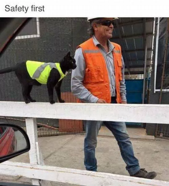 Picdump 61 - #4 
