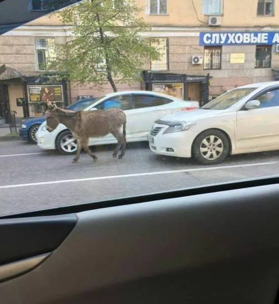 Picdump 61 - #53 