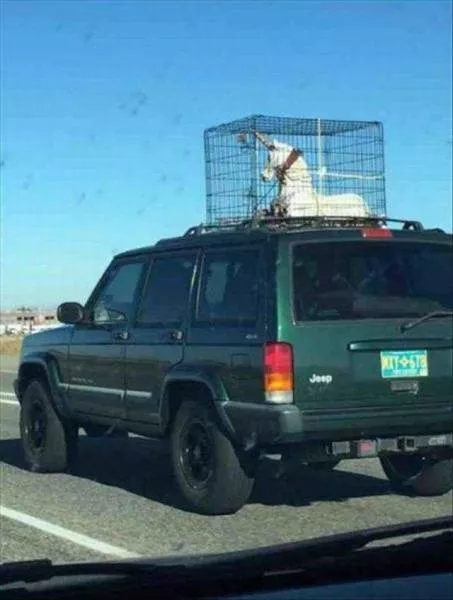 Picdump 61 - #9 