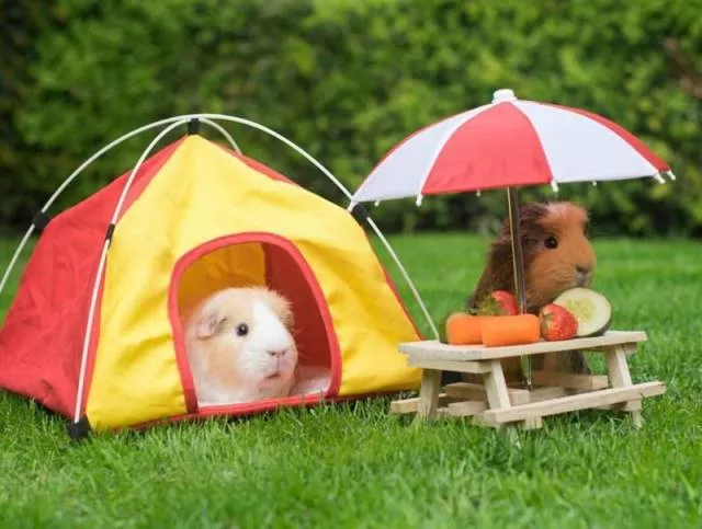 Picdump 325 - #20 