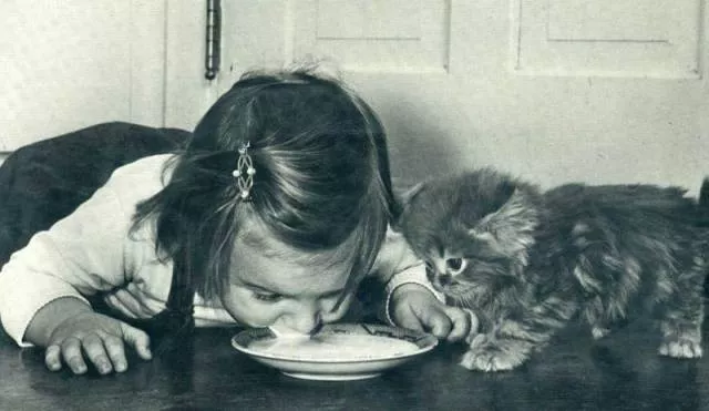 Picdump 325 - #25 Picdump 325 - #25