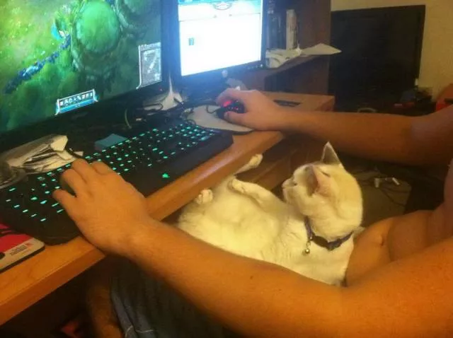 Picdump 325 - #42 