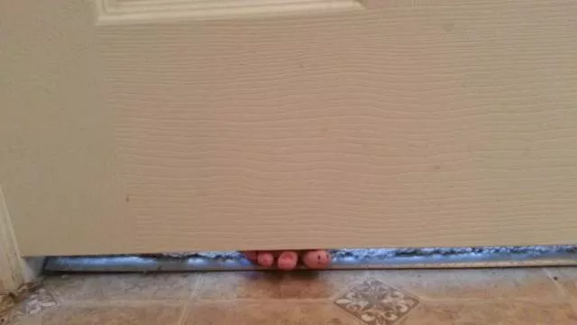 Picdump 325 - #59 