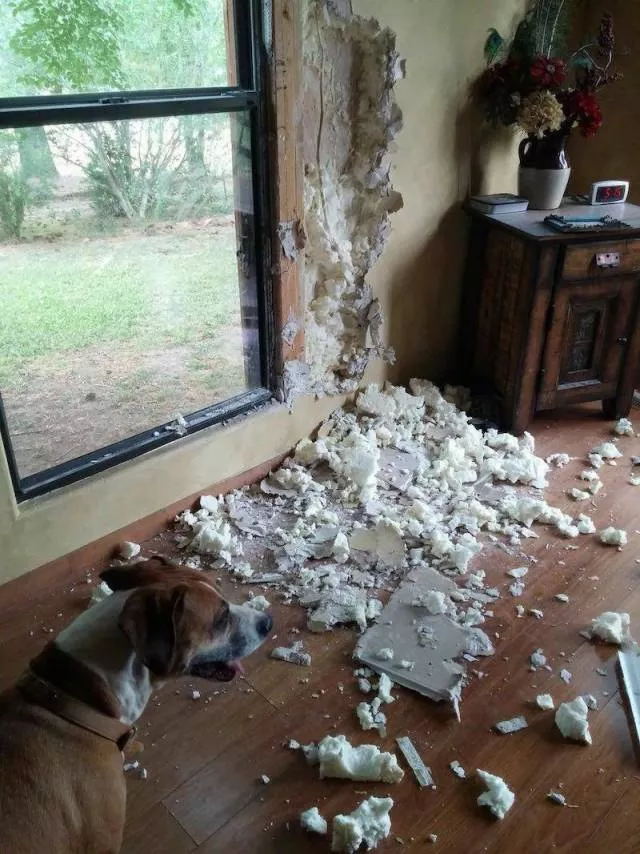Picdump 325 - #78 