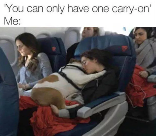 Picdump 326 - #46 