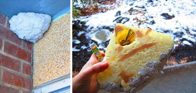 The most creative hiding places - #13 