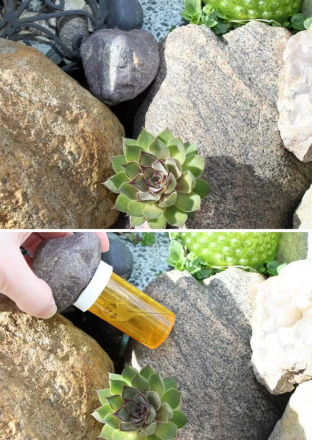 The most creative hiding places - #15 