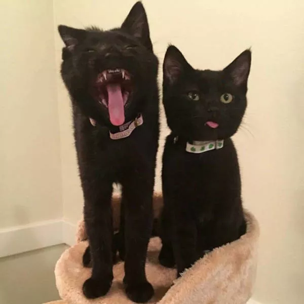 Picdump 62 - #10 