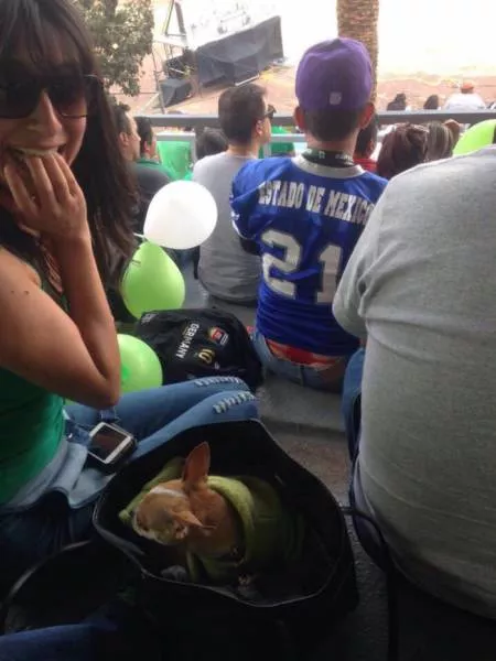 Picdump 62 - #41 