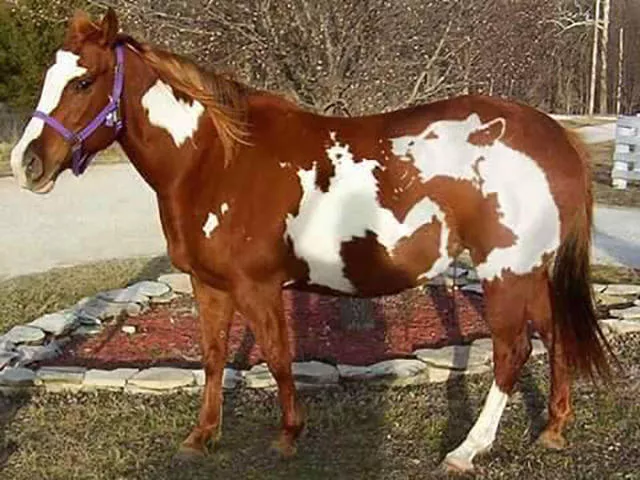 Picdump 62 - #8 