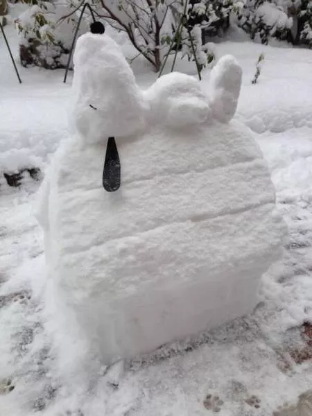 Get ready winter is here - #17 